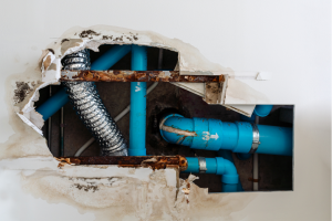 Read more about the article How to Identify Drain Problems in Your Home: Insights from a Plumbing, Heating and Air Conditioning Company in Barrington, Illinois