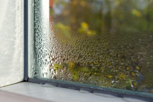 Read more about the article How Can High Humidity Damage Your Home? Insights from a Plumbing, Heating and Air Conditioning Company in Aurora, Illinois