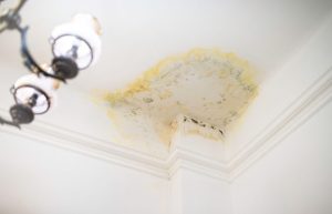 Plumbing, Heating and Air Conditioning Company in Sycamore, Illinois
