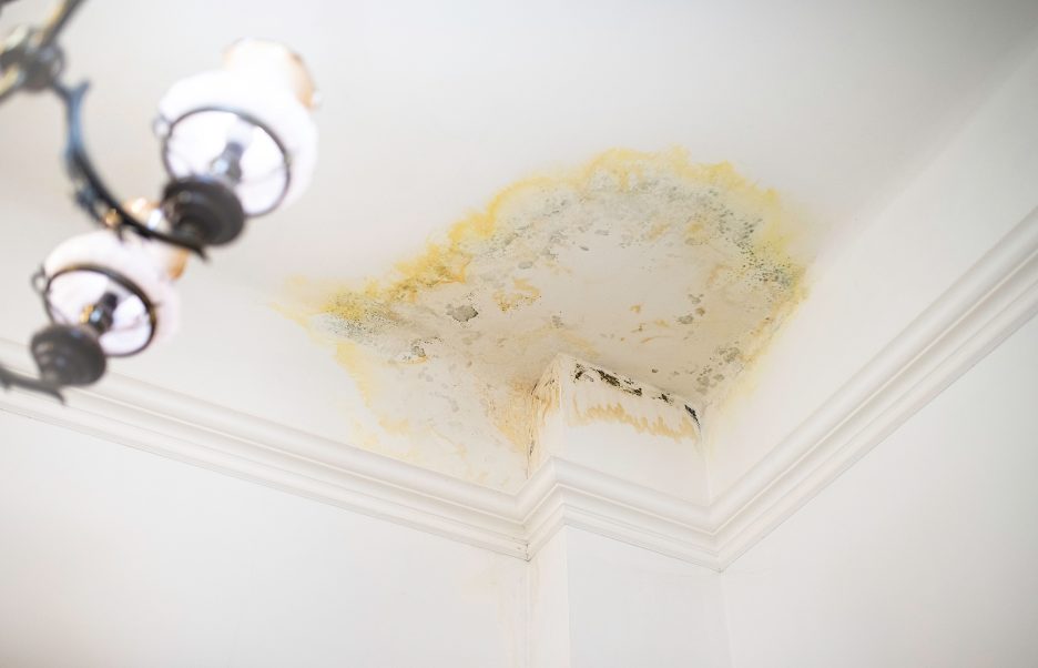Read more about the article Preventing Water Damage in Your Home: Insights from a Plumbing, Heating and Air Conditioning Company in Sycamore, Illinois