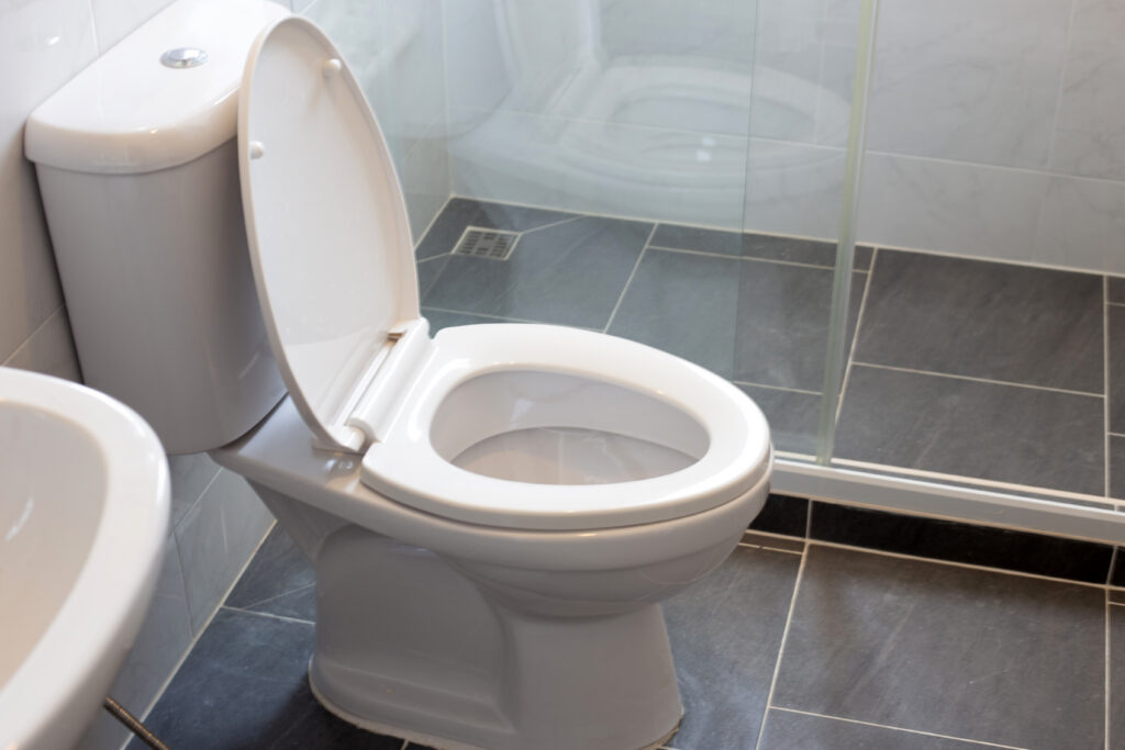 Signs It’s Time to Replace Your Toilet